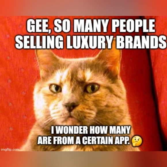 BE AWARE OF SCAMMERS - Picture 4 of 8